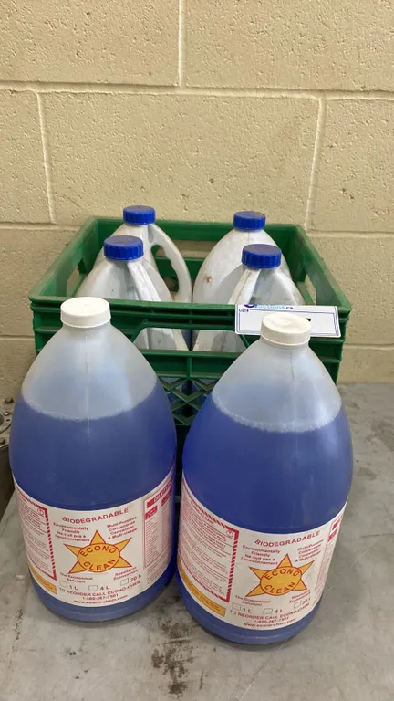 4 JUGS OF BLEACH & 2 JUGS OF ECONO CLEAN MULTIPURPOSE CLEANER
