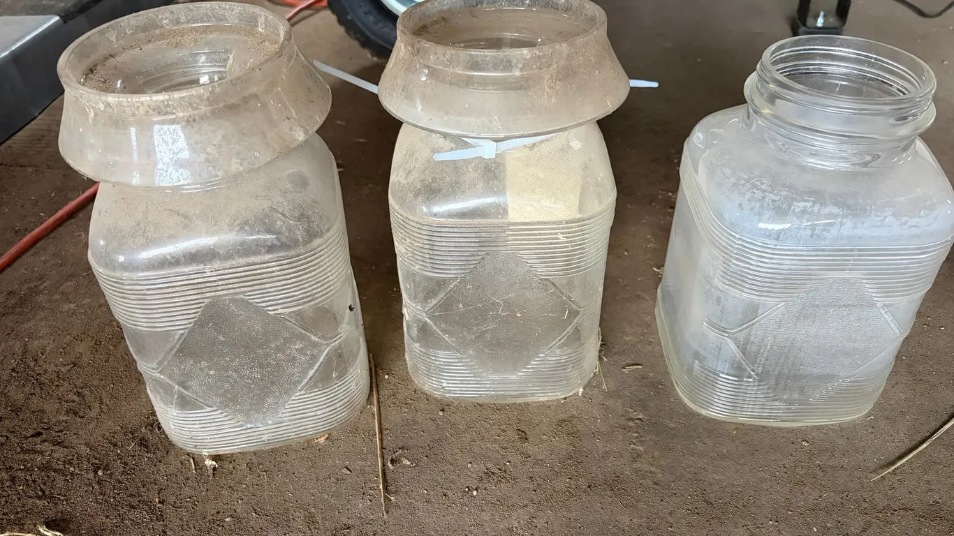 (3) Glass Chicken Water Dishes