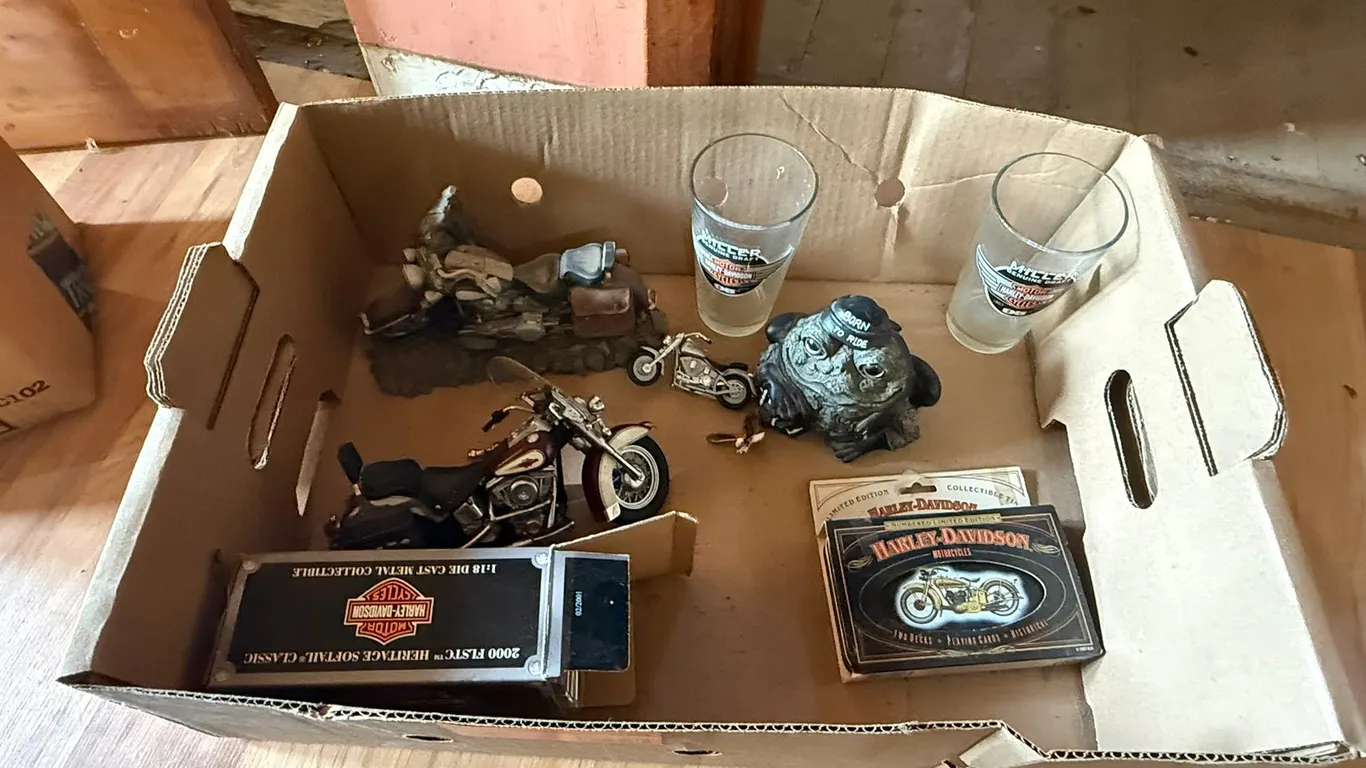 Harley Davidson 44" , Glasses, Statue