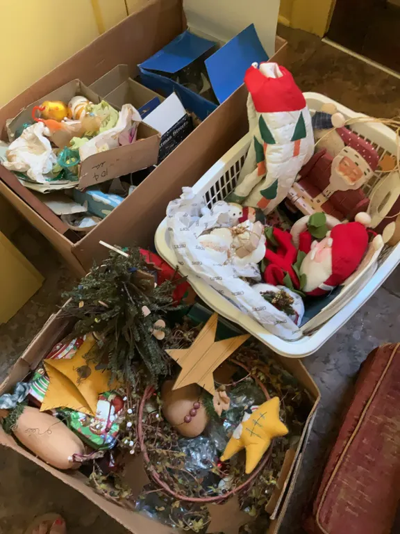 Christmas Surprise Lot