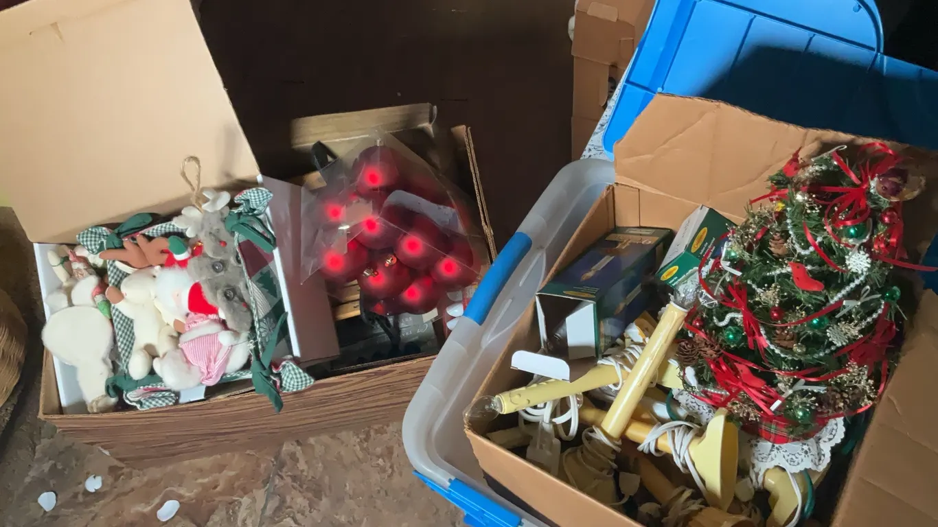 Christmas Surprise Lights and Ornaments