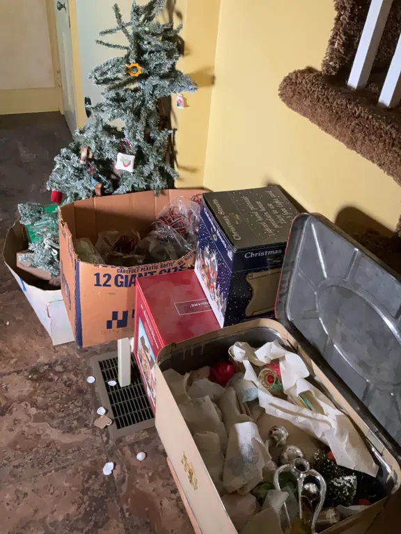 Surprise Christmas Decor