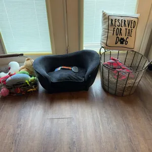 Pet Bed, Toys & Storage Basket
