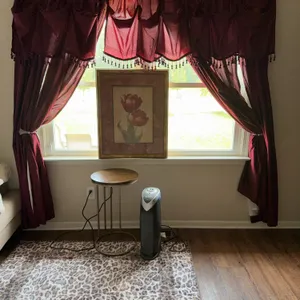 Framed Red Tulip Print, Wood Top Accent Table & Space Heater
