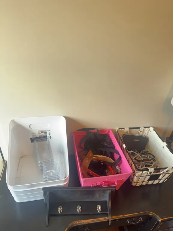 Closet & Accessory Organization Lot