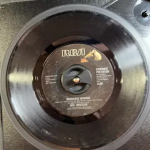 45 RPM Mr. Mister Broken Wings