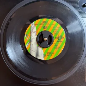 45 RPM Styx Babe