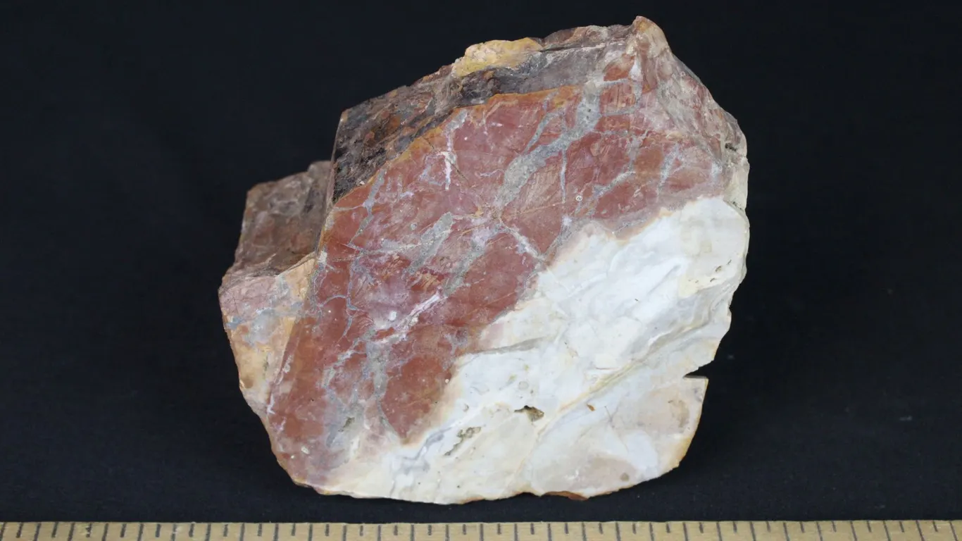 Flint from Ohio, 1 lb 7 oz