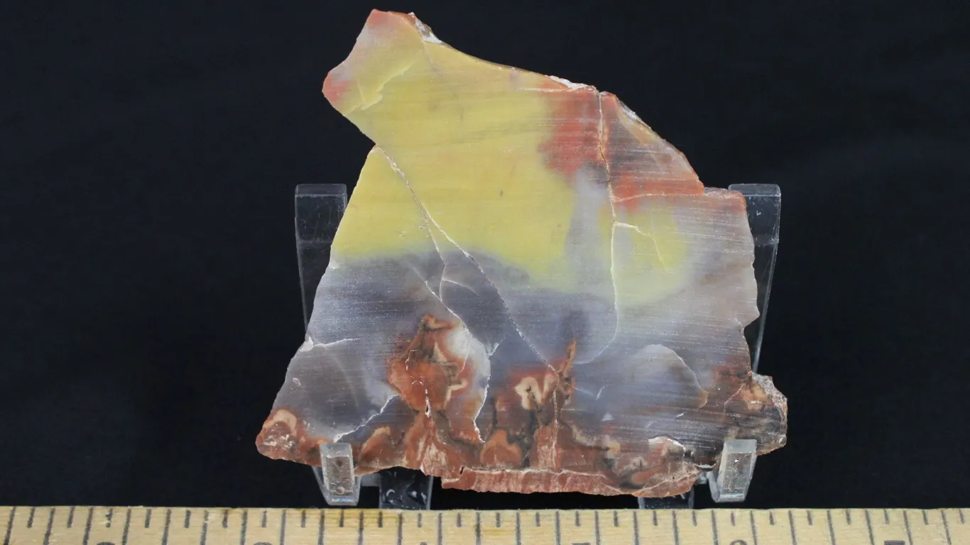 Rainbow Wood Slab, 3 oz