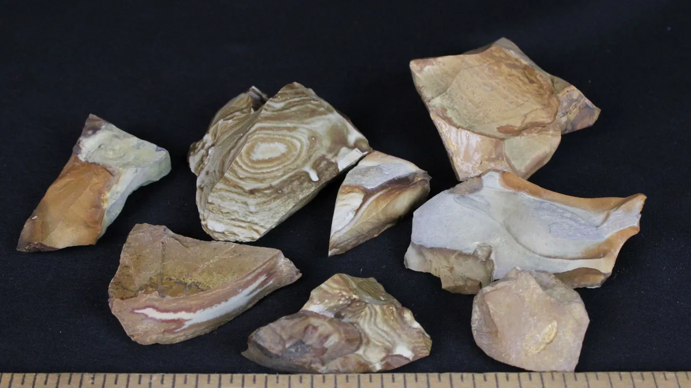 Picture Jasper, 12 oz