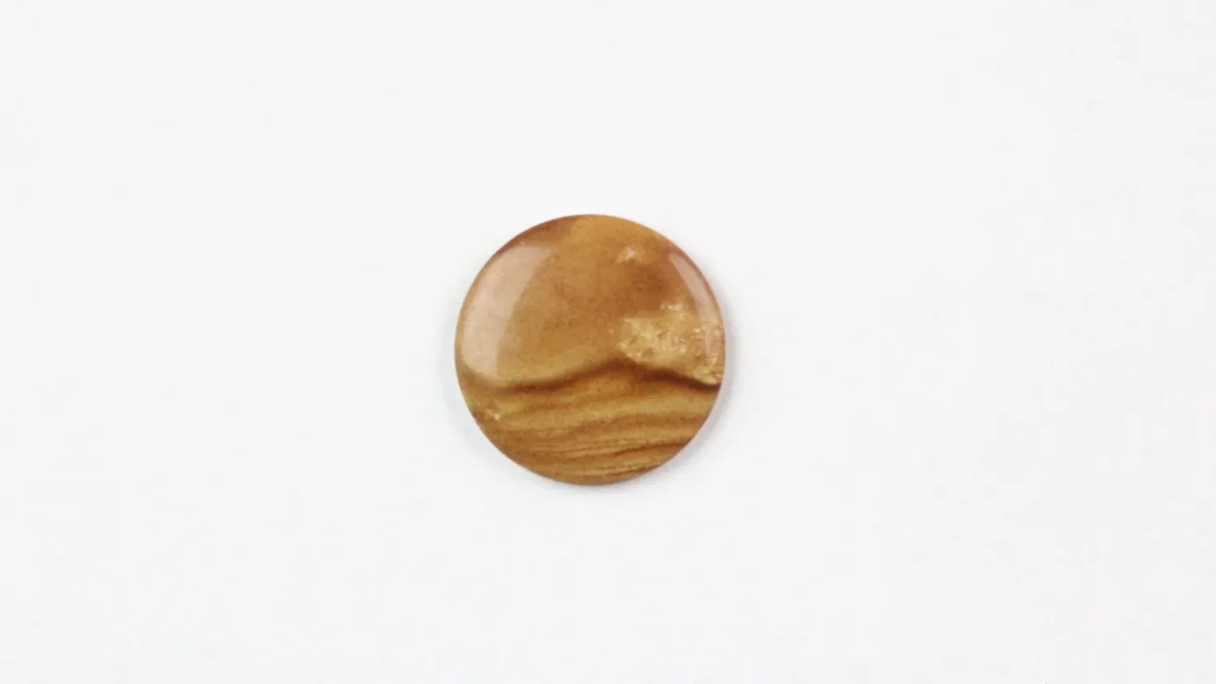 Picture Jasper Cabochon, 24 mm