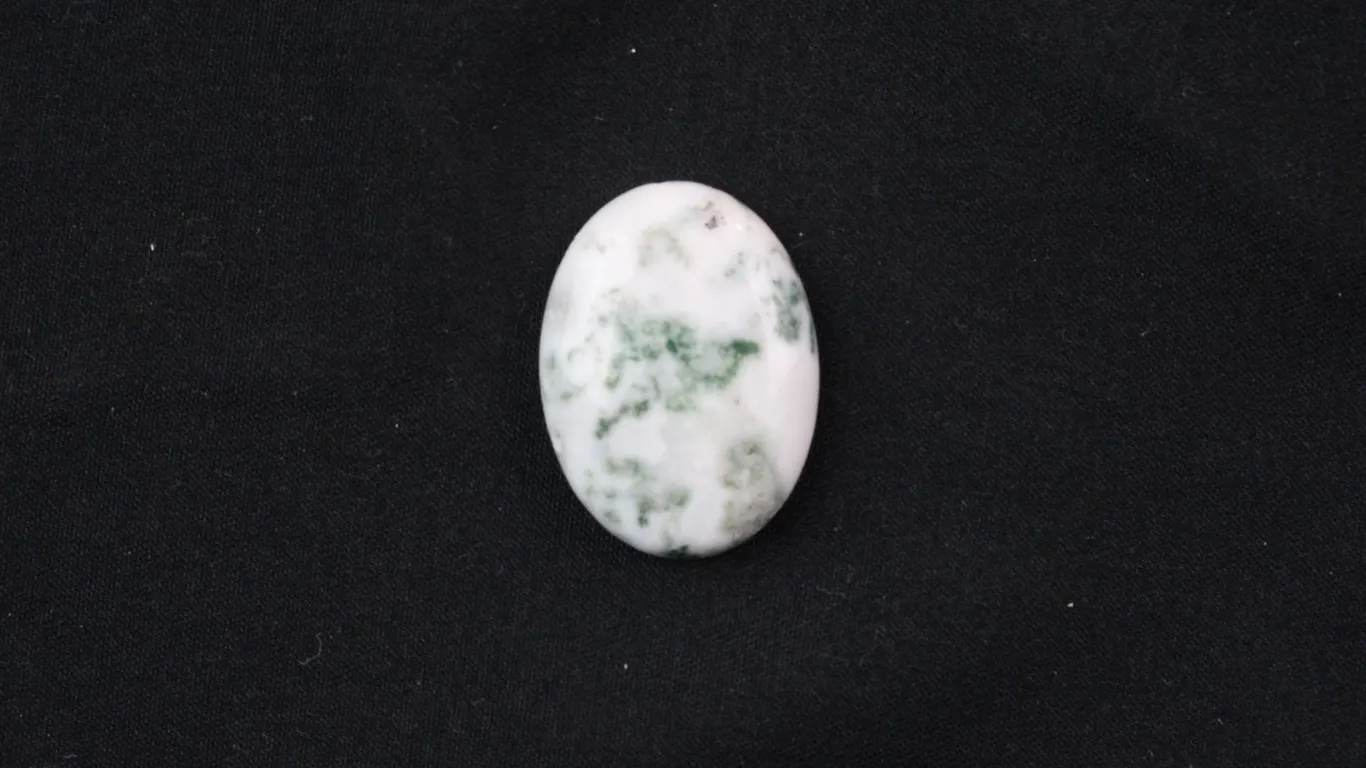 Tree Agate Cabochon