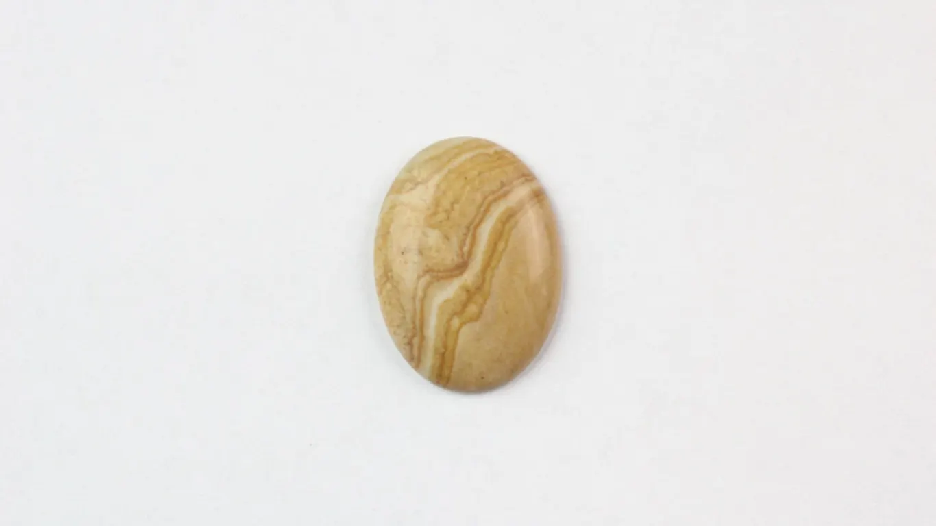 Picture Jasper Cabochon