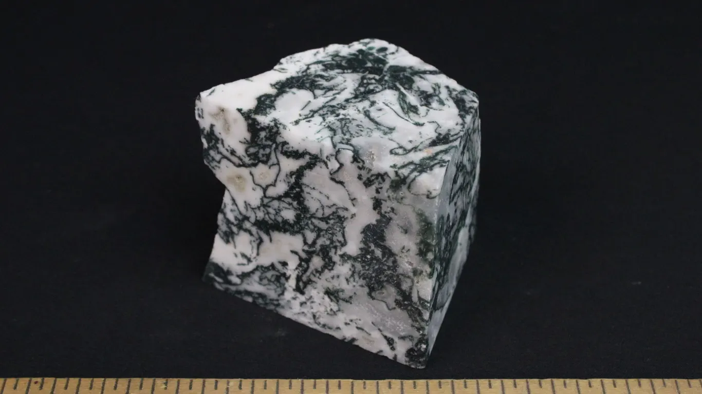 Tree Agate, 1 lb