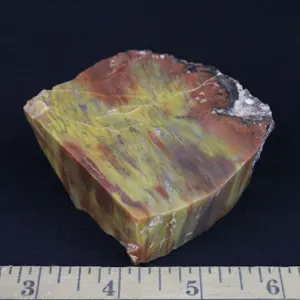 Rainbow Petrified Wood, 10 oz