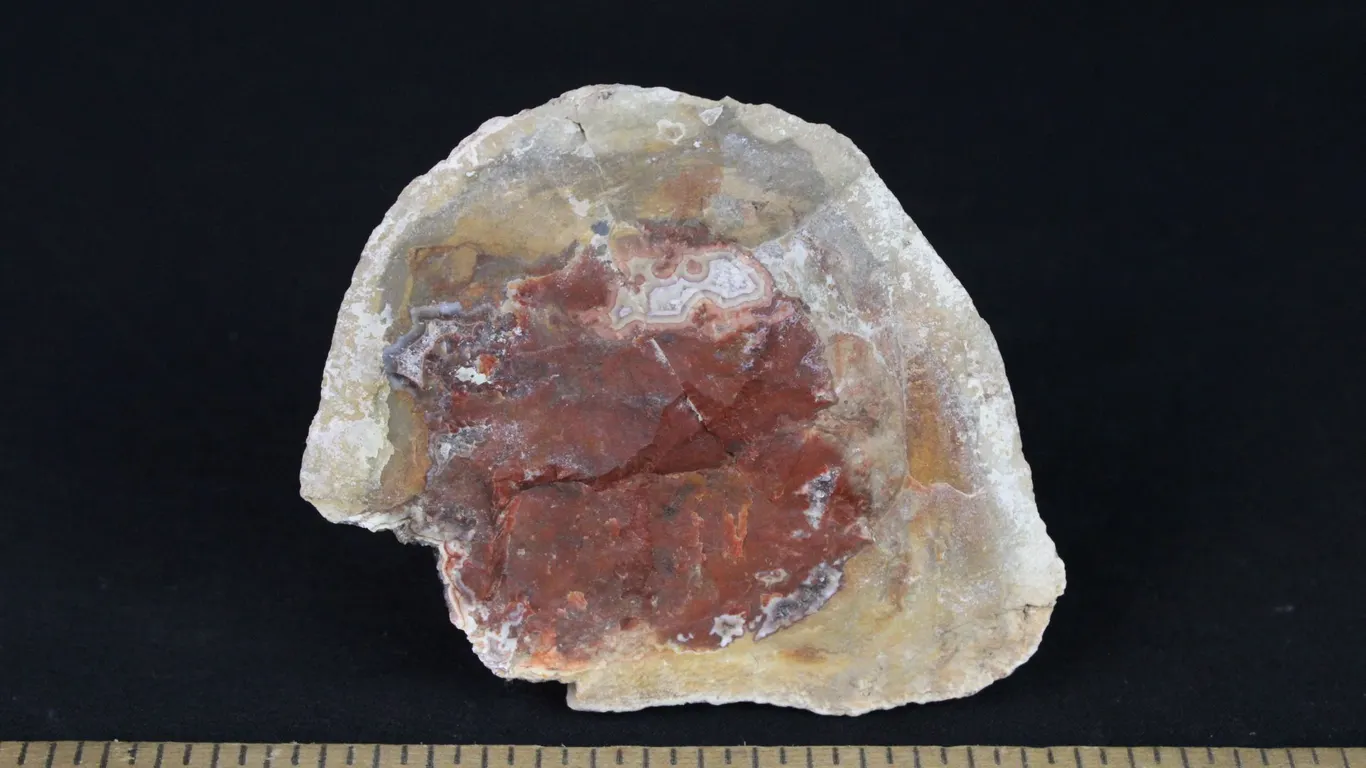 Tepee Canyon Agate, 7 oz