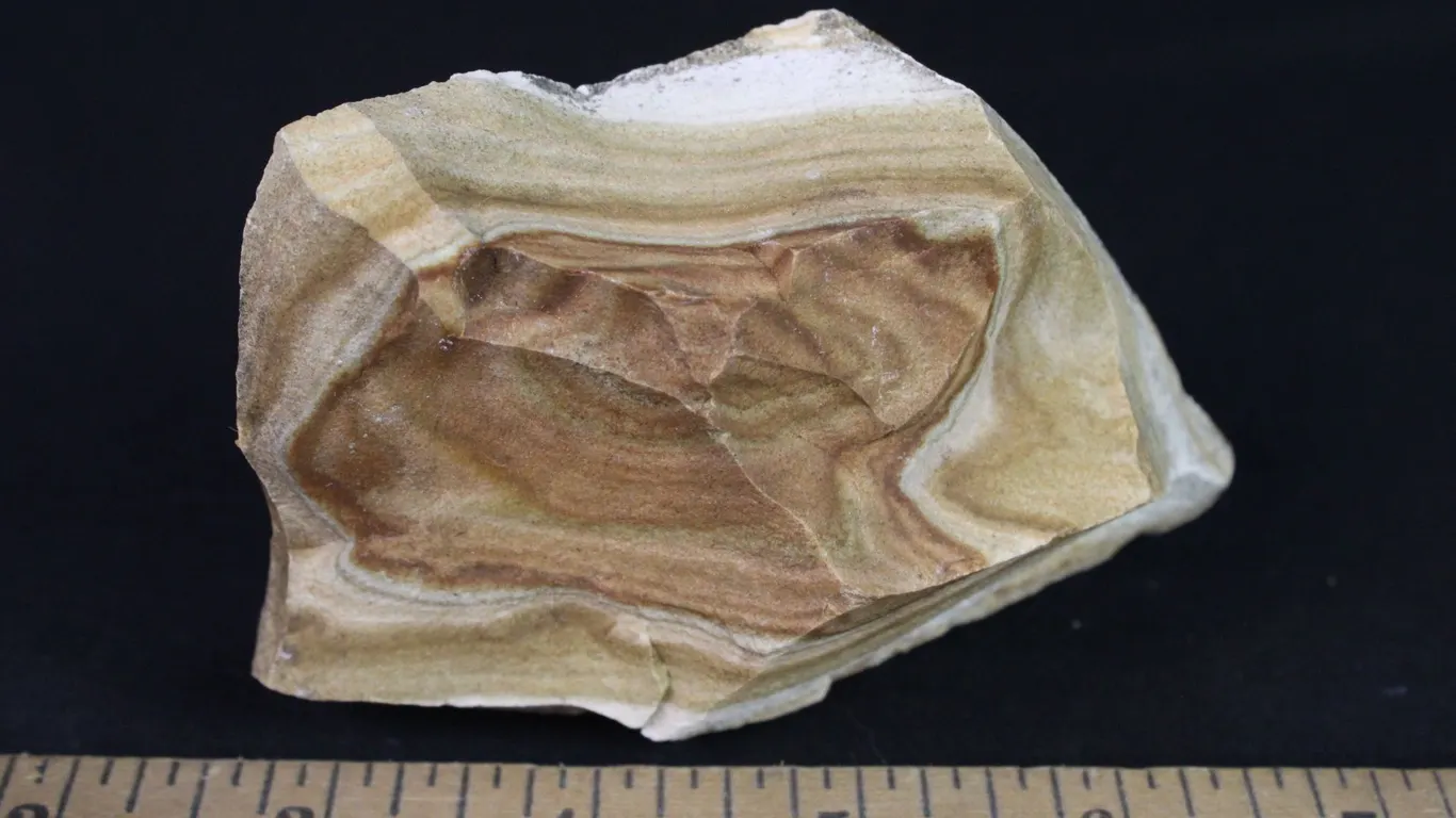 Picture Jasper, 10 oz