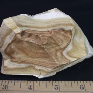 Picture Jasper, 10 oz