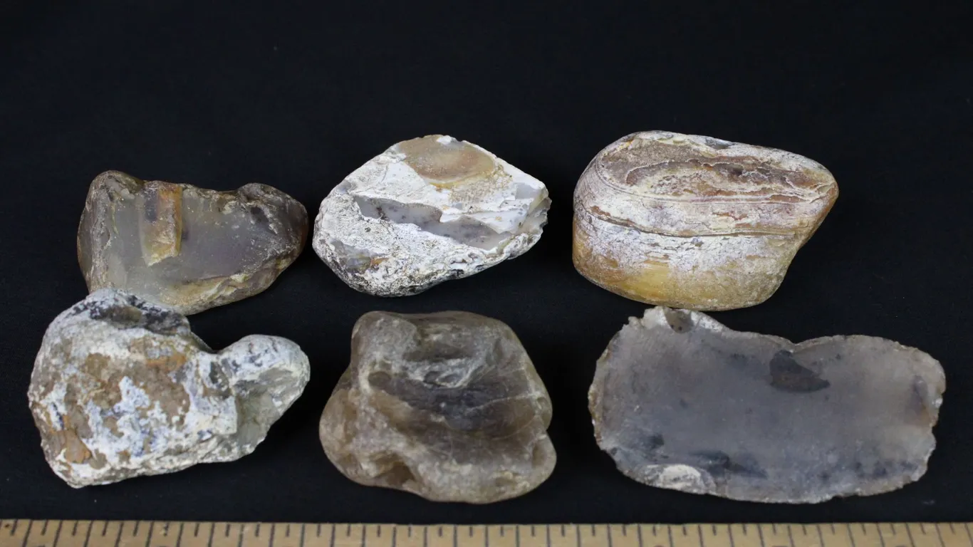Montana agates, 1 lb 3 oz