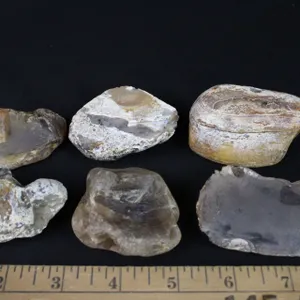 Montana agates, 1 lb 3 oz