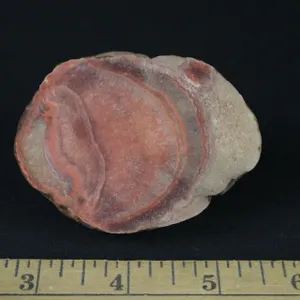 Cut Agate, 8 oz