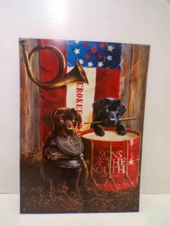1998 Sons of the South Metal Sign - 12.5" X 17"