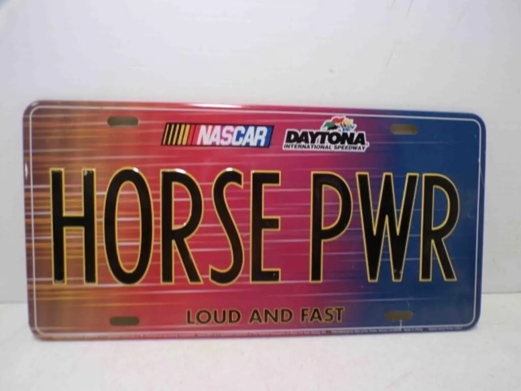NASCAR Daytona International Speedway Novelty