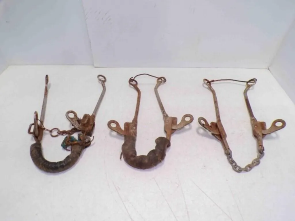 (3) Vintage Mechanical Hackamore Leather Noseband