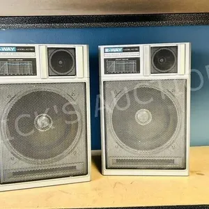 pair of 13" tall speakers