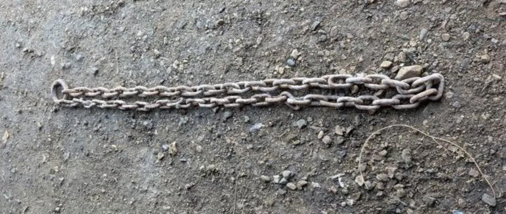 Chain Approx 8ft.