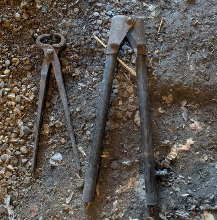 Vintage Cattle Horn Cutter and Farries Hoof