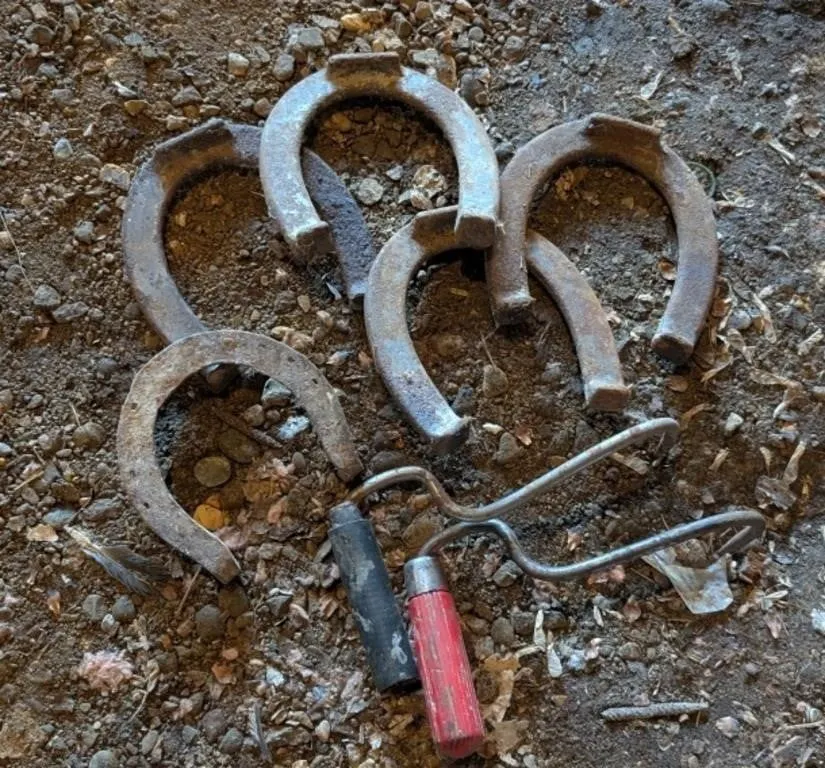 Vintage Horse Shoes and Hay Hooks