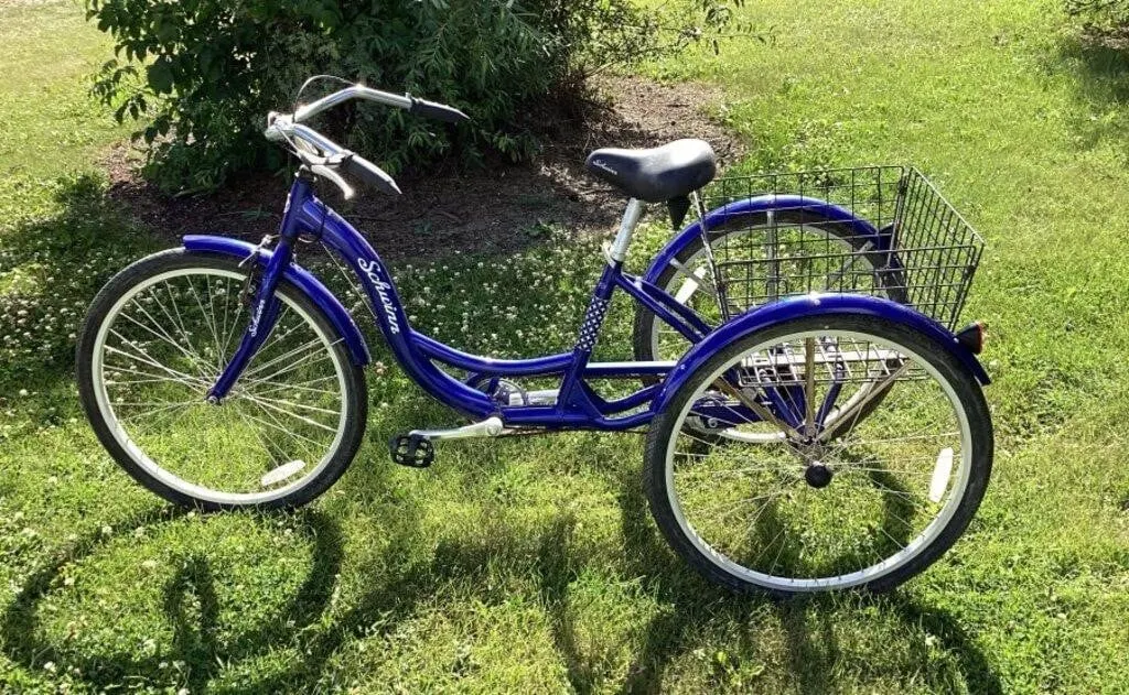 Schwinn meridian 3 wheel bike