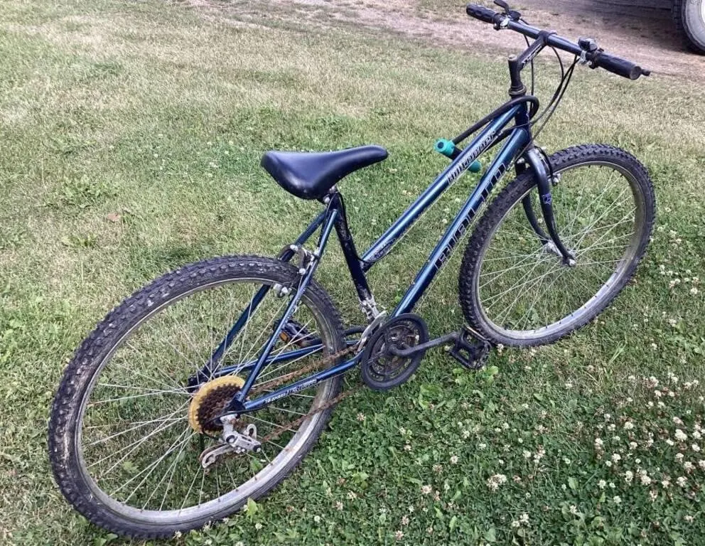 Rialto Hilltoppers 15 speed bike