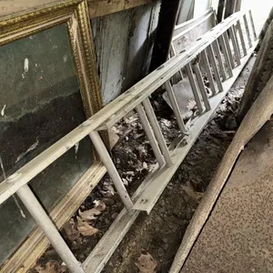 Extension Ladder & Step Ladder