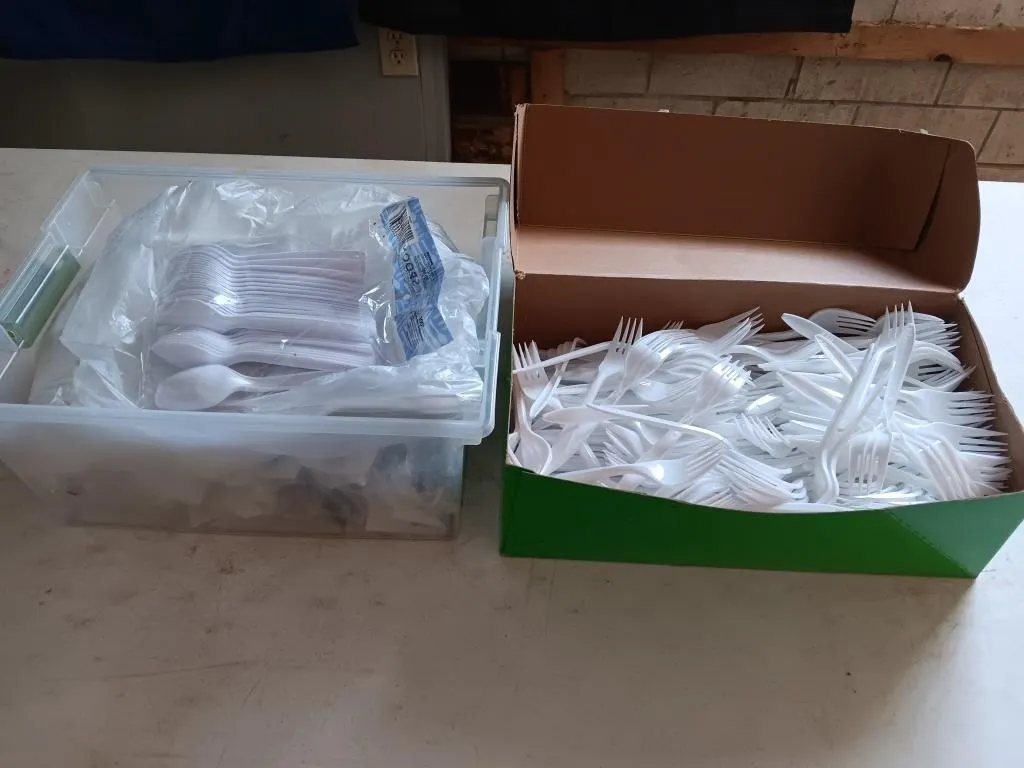 Plastic Dinnerware utensils