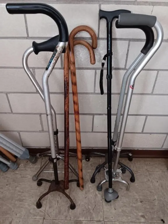Assortment of canes