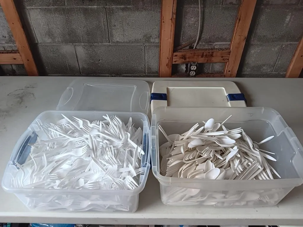 Plastic Dinnerware (forks&spoons)