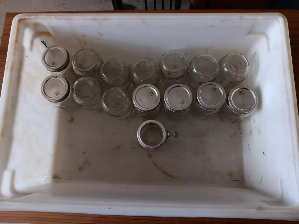 Tote containing fifteen assorted, used Mason jars.