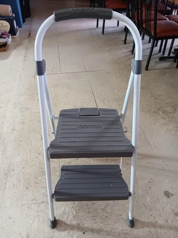 Cosco step ladder