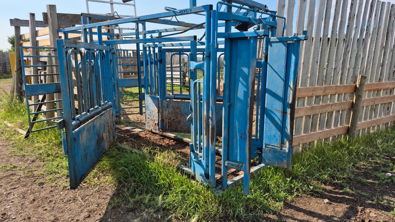 PAYSEN LIVESTOCK SQUEEZE CHUTE & PALPITATION CAGE
