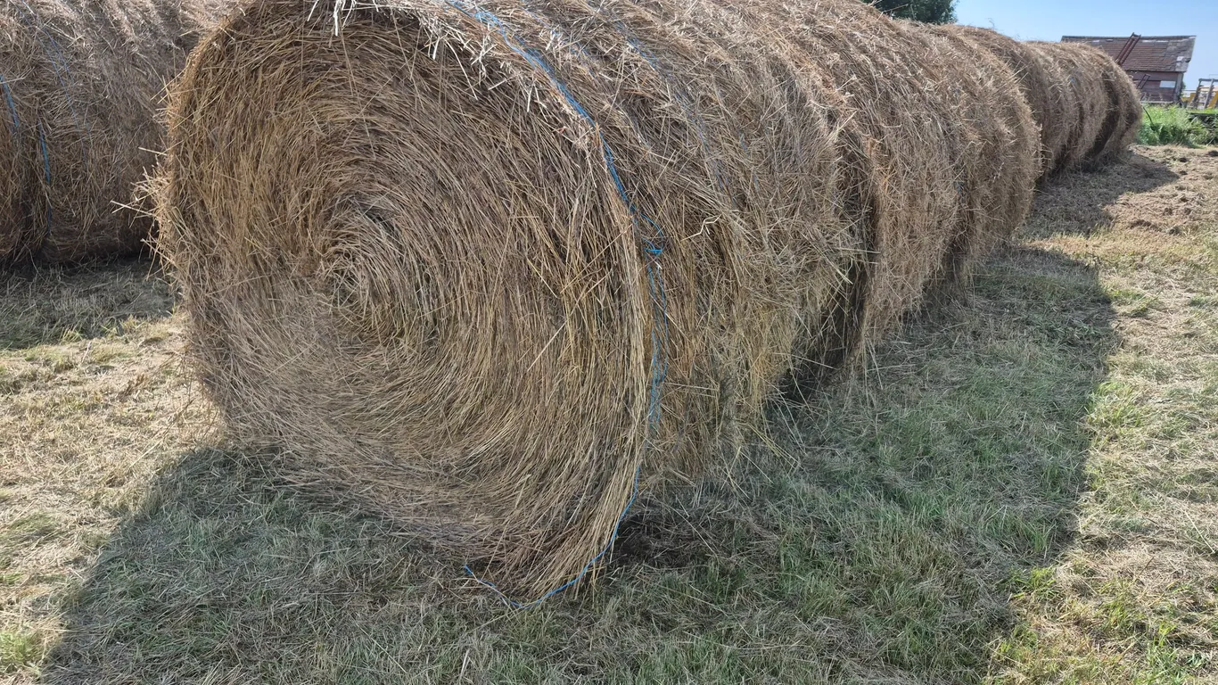 8- BROME GRASS BALES