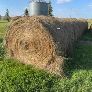 8- BROME GRASS BALES