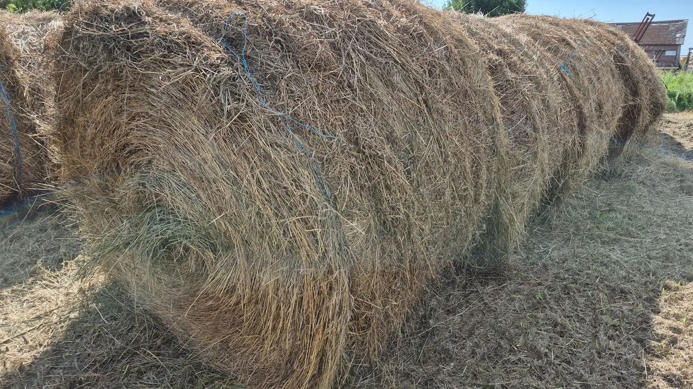 8- BROME GRASS BALES