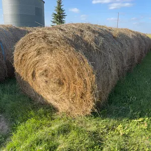 8- BROME GRASS BALES