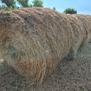 8- BROME GRASS BALES