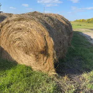 8- BROME GRASS BALES