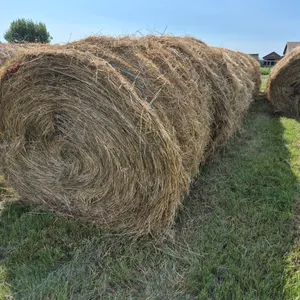 8- BROME GRASS BALES