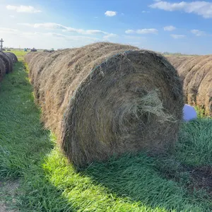 20- BROME GRASS BALES