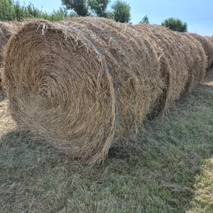 20- BROME GRASS BALES